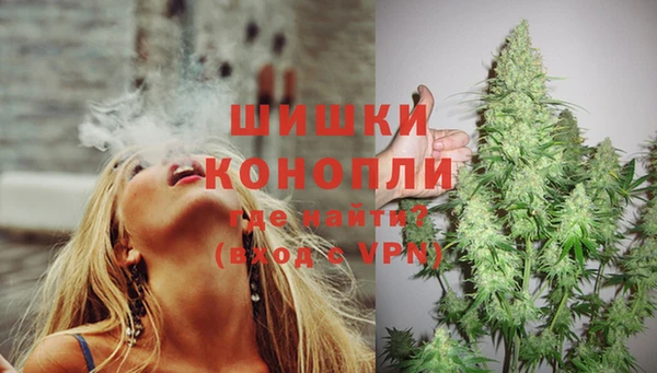 гашик Кулебаки