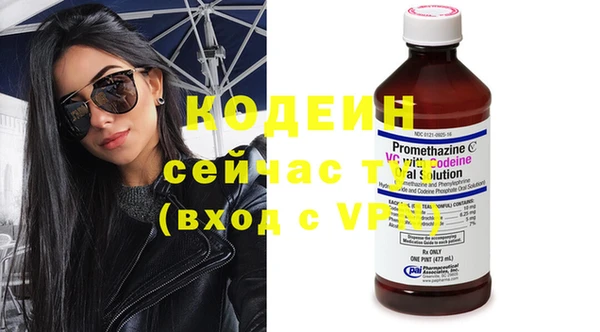 гашик Кулебаки