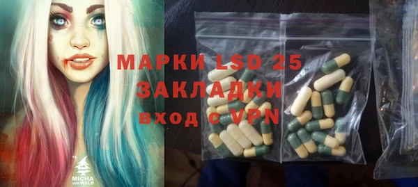 гашик Кулебаки