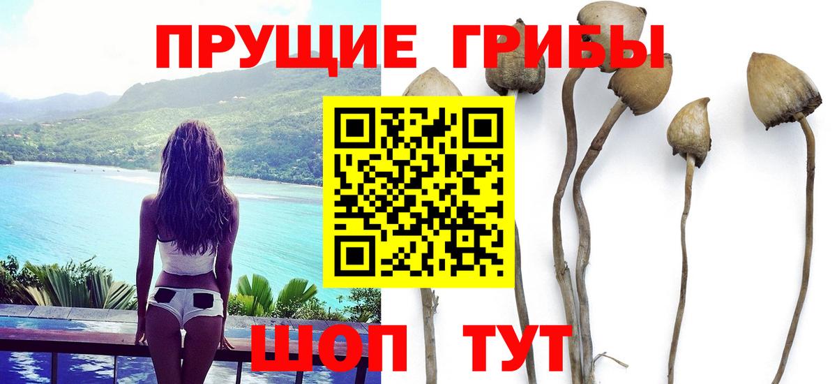 Псилоцибиновые грибы Psilocybine cubensis  Вход с VPN  где продают наркотики  Волгодонск 