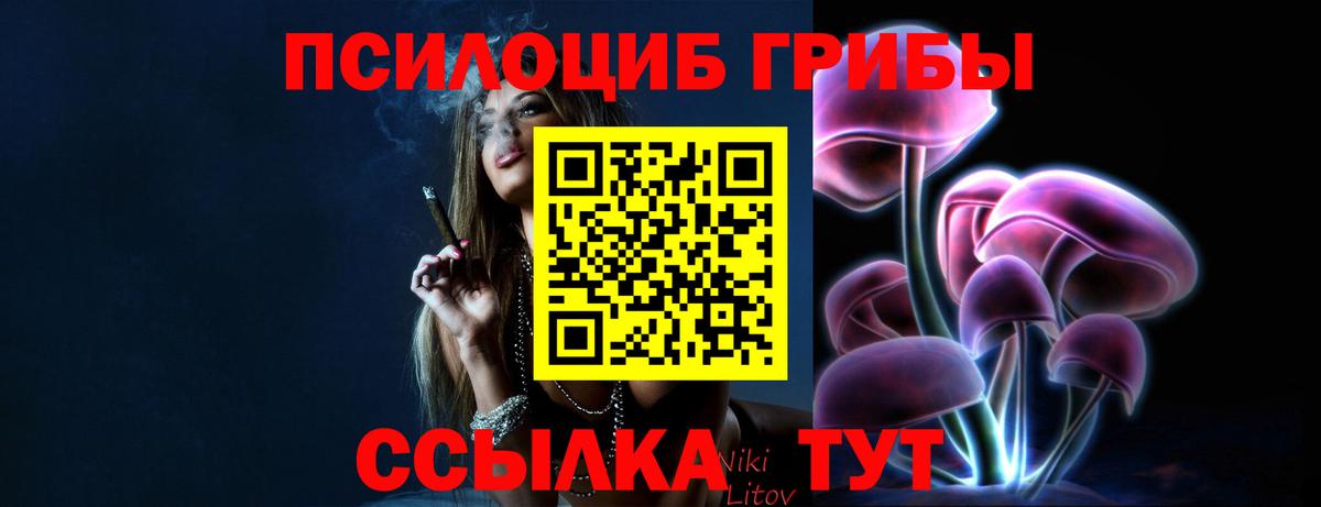 Галлюциногенные грибы мухоморы Волгодонск